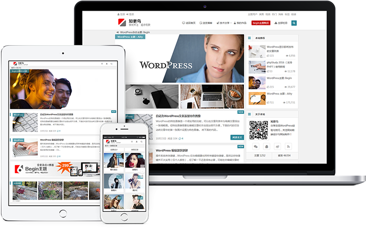 图片[1]-WordPress主题：知更鸟Begin5.2免授权版-鼎信网