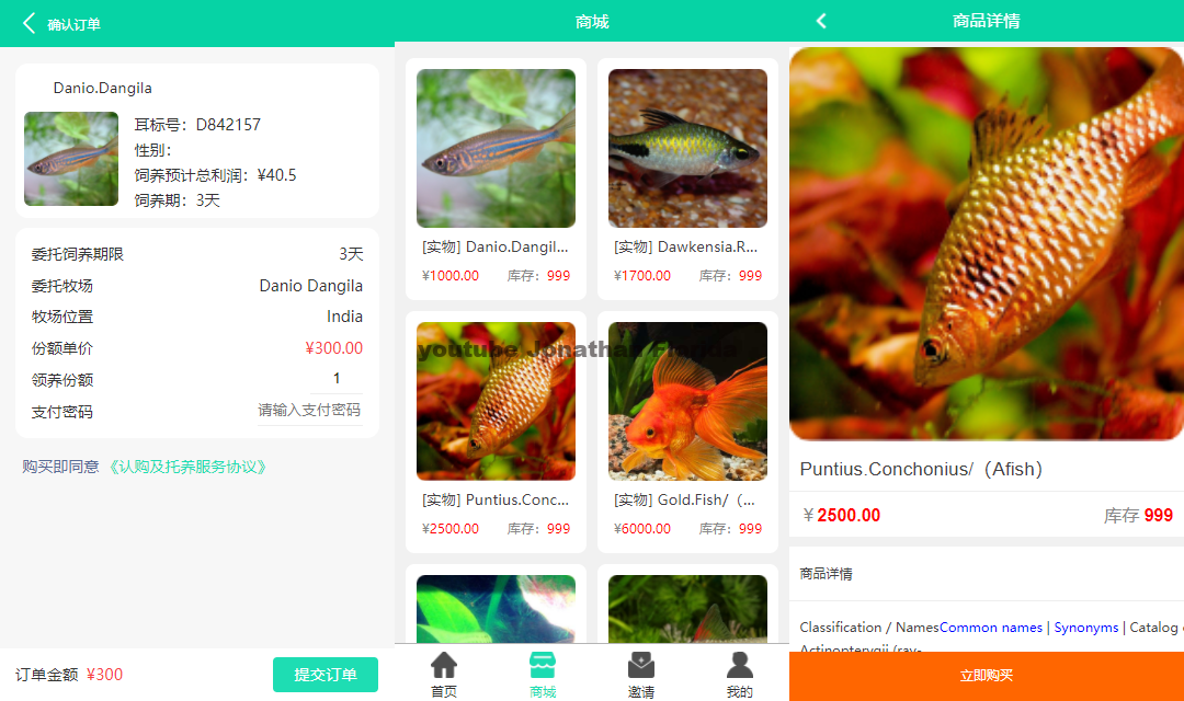 图片[2]-养鱼金融投资理财源码 支持商城 抽奖 投资收益余额宝等！ 双语言支持中英文-鼎信网