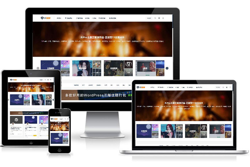 图片[1]-ripro9.0修正升级版+WP两款美化包+稀有插件-鼎信网