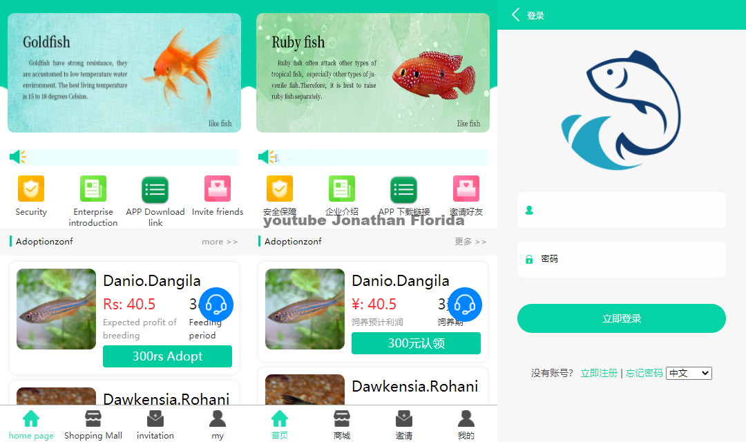 图片[4]-养鱼金融投资理财源码 支持商城 抽奖 投资收益余额宝等！ 双语言支持中英文-鼎信网